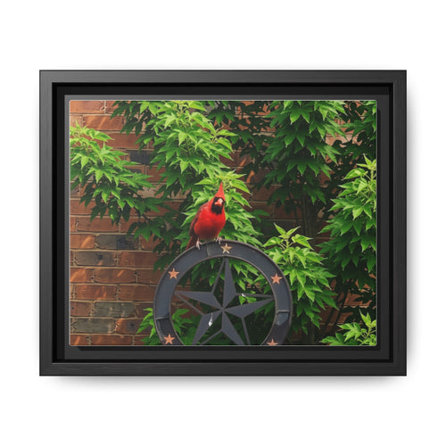 Cardinal on Star Wheel — Framed Matte Canvas Wall Art