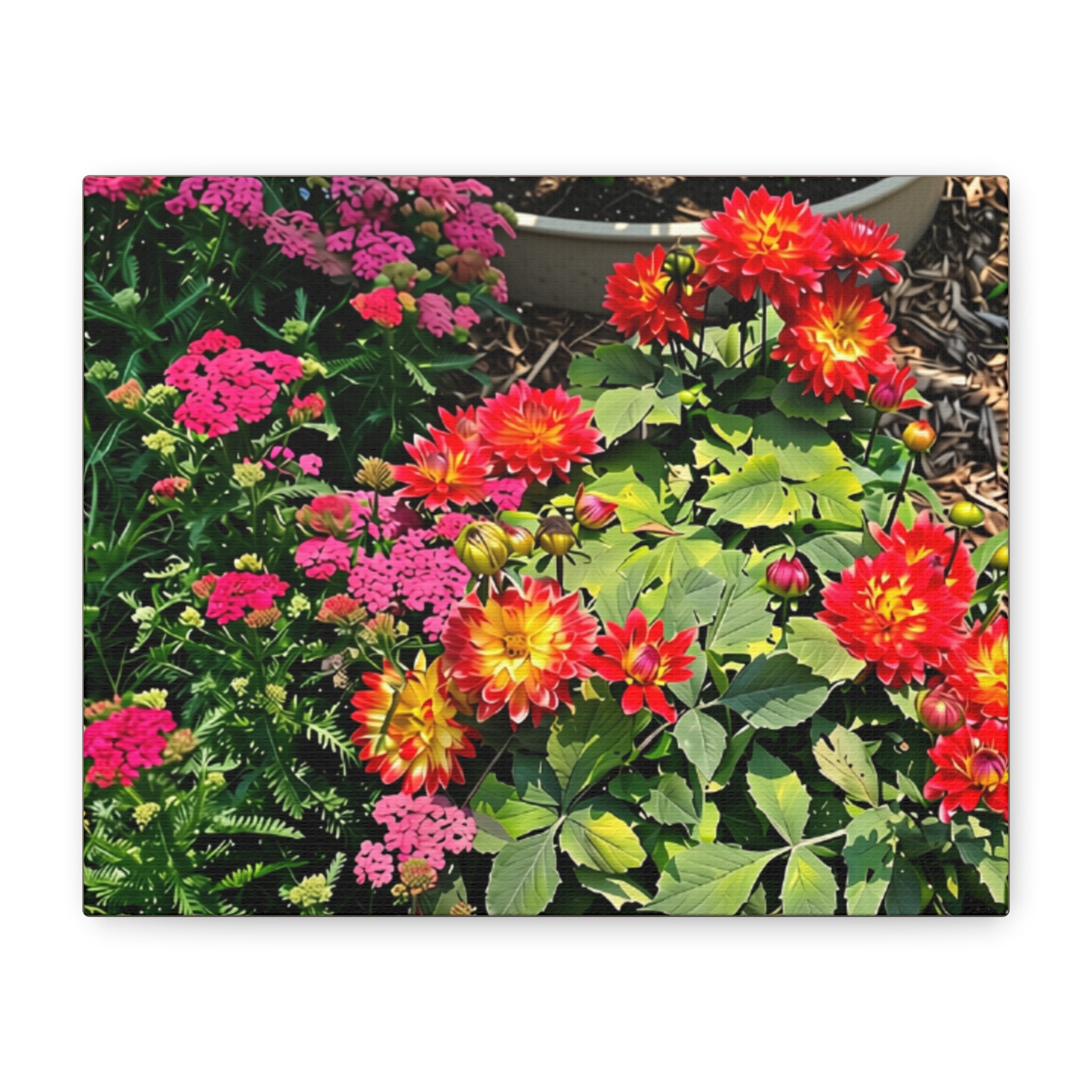 Floral Garden Canvas Print — Vibrant Red & Pink Dahlias Stretched Wall Art