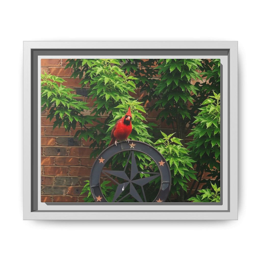 Cardinal on Star Wheel — Framed Matte Canvas Wall Art