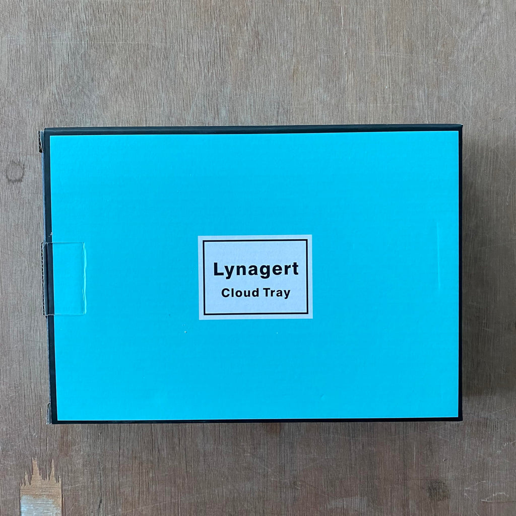 Lynagert Cloud Trinket Dish, Chubby Jewelry Tray, Ceramic Jewelry Ring Trinket Dish for Rings Earrings Necklace Organizer, Mother's Day Thanksgiving Christmas Birthday Bridesmaid Gifts (Silver)