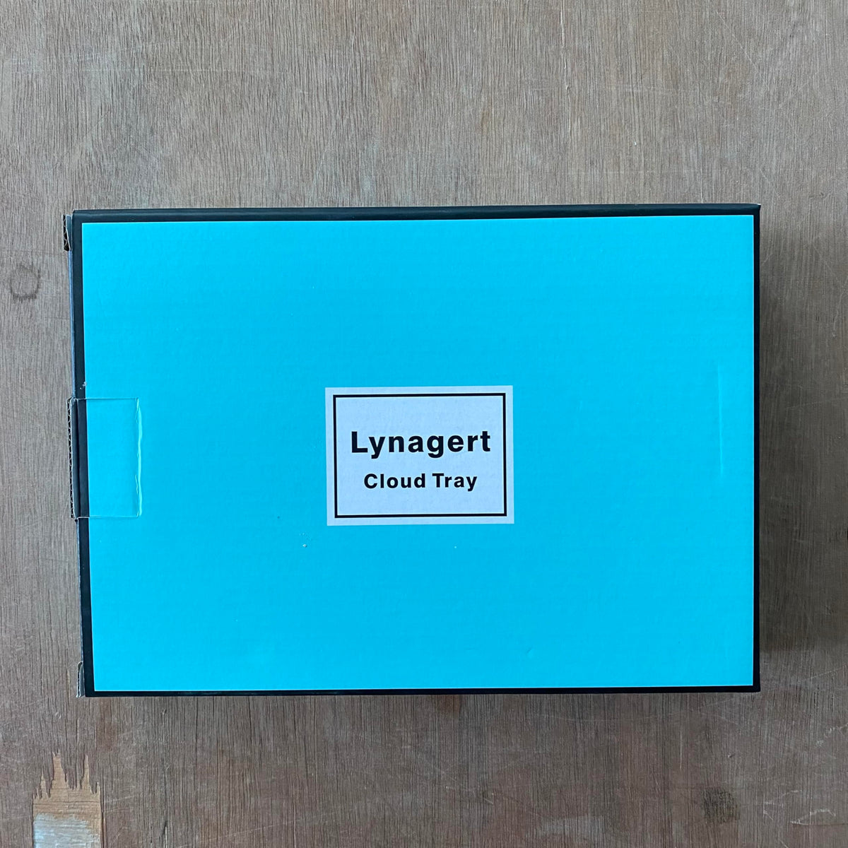 Lynagert Cloud Trinket Dish, Chubby Jewelry Tray, Ceramic Jewelry Ring Trinket Dish for Rings Earrings Necklace Organizer, Mother's Day Thanksgiving Christmas Birthday Bridesmaid Gifts (Silver)